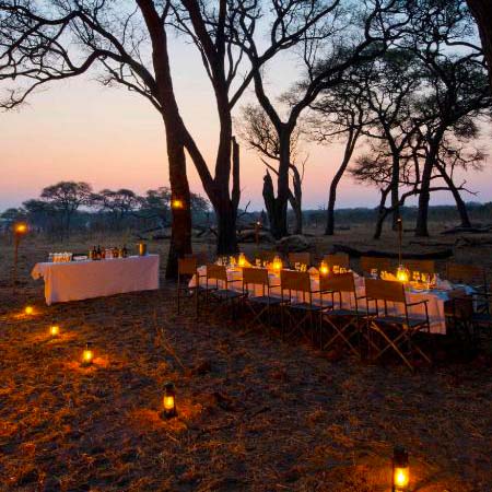 Golden sunset over the African savannah