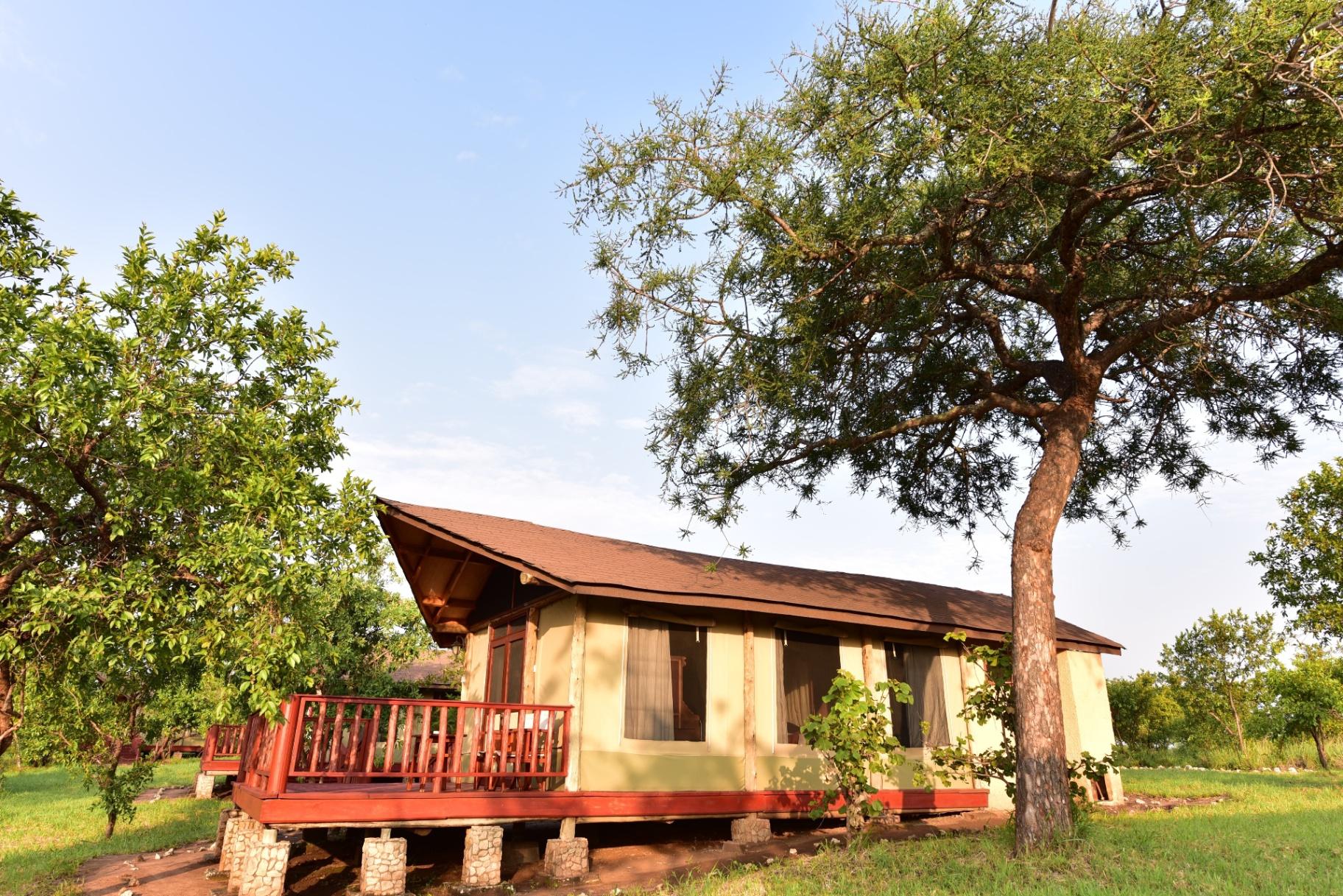 Safari lodge nestled among trees at Elephant Rock