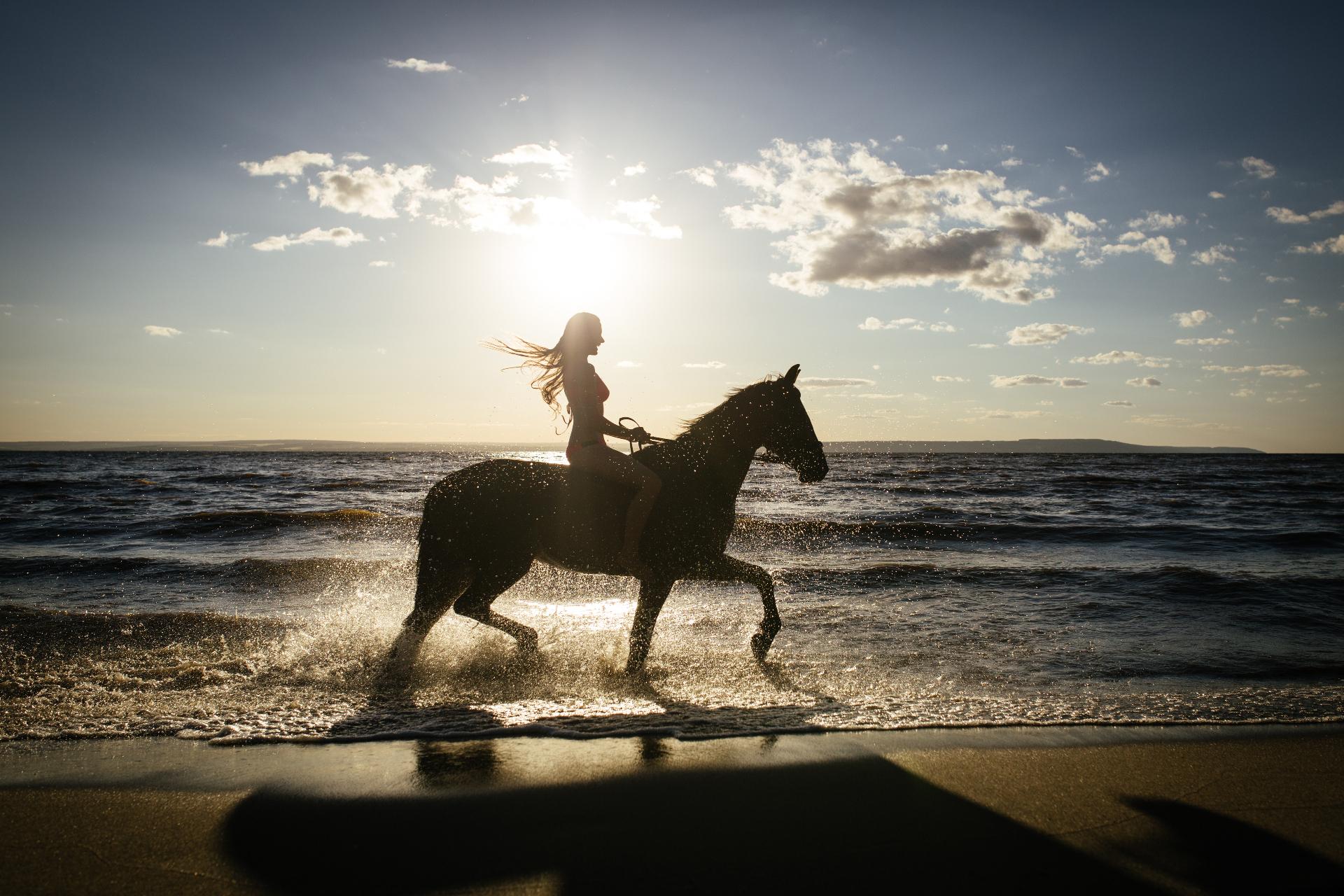 Horse riding in the surf at sunset