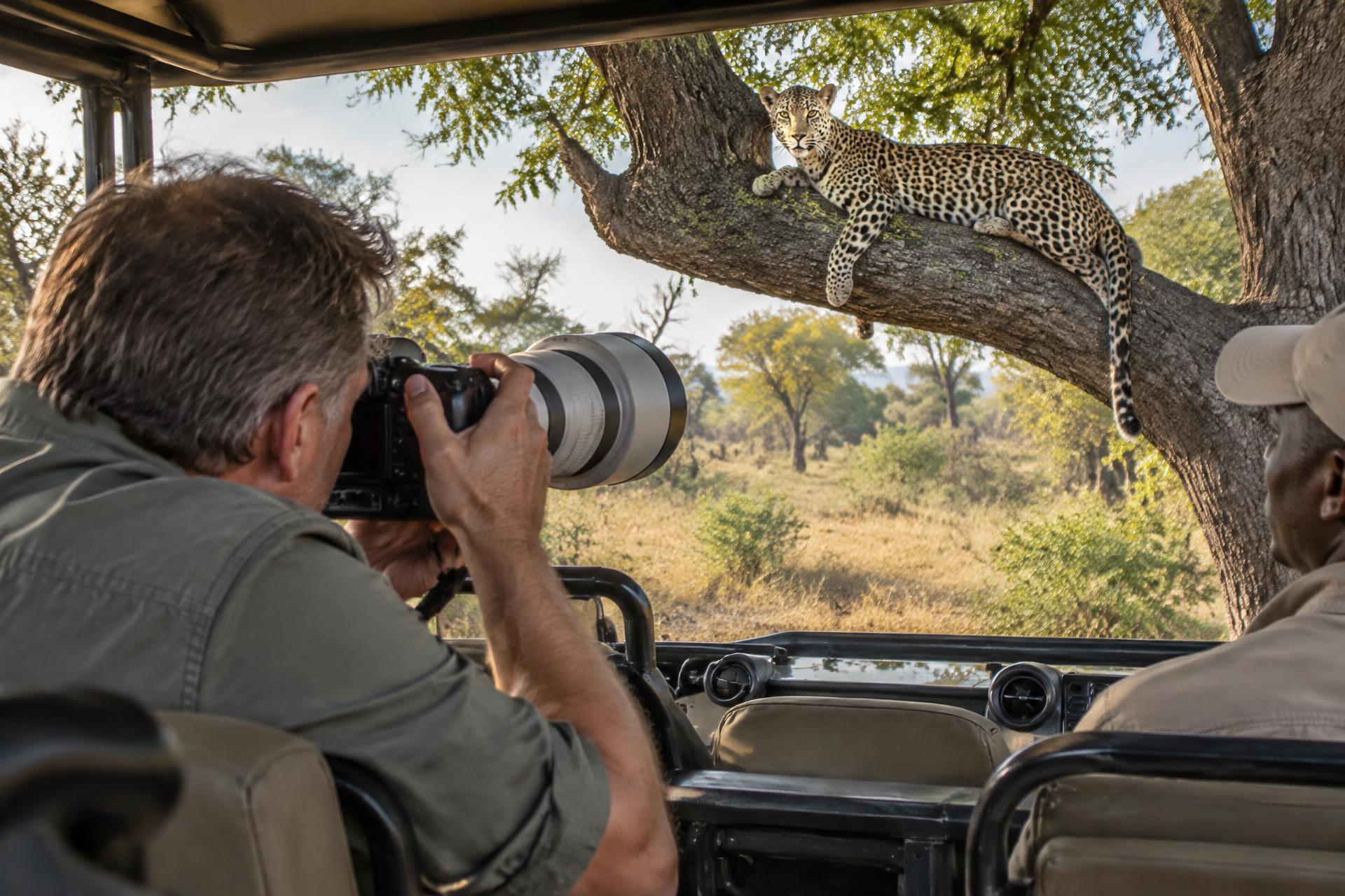 The Art of Photographing Africa's Wildlife