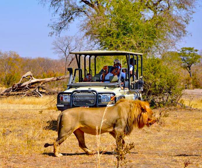 Luxury safari game drive vehicle at golden hour in Africa